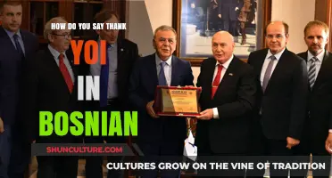 Expressing Gratitude in Bosnian: How to Say 'Thank You' Like a Local