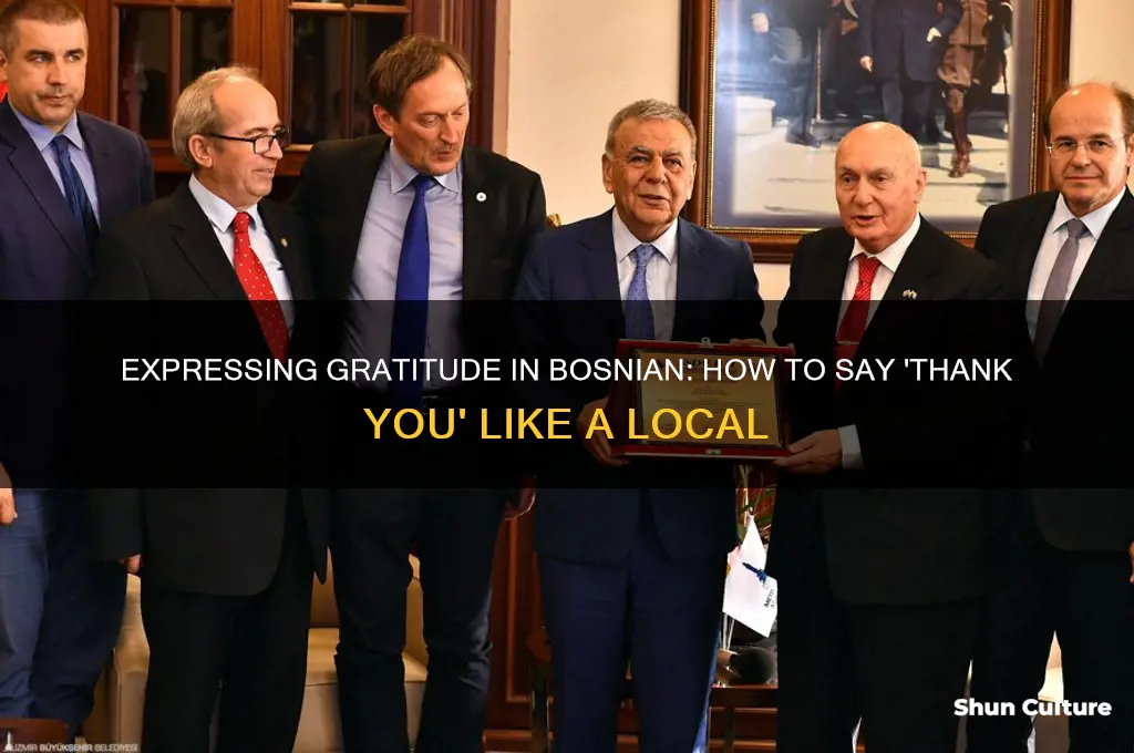 how do you say thank yoi in bosnian