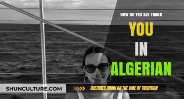 Expressing Gratitude in Algerian Arabic: How to Say Thank You