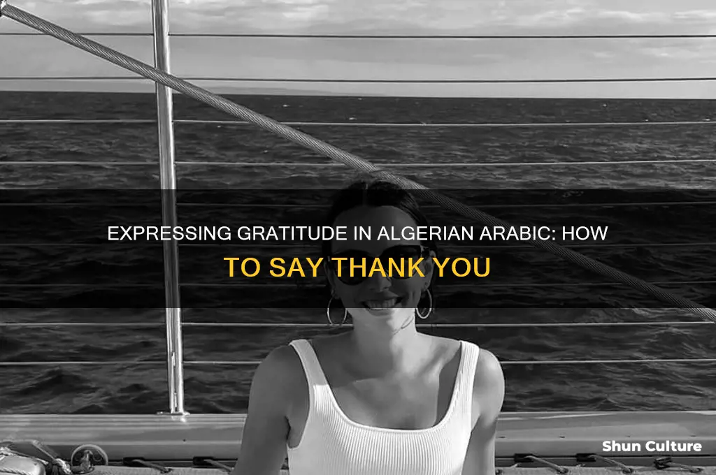 how do you say thank you in algerian