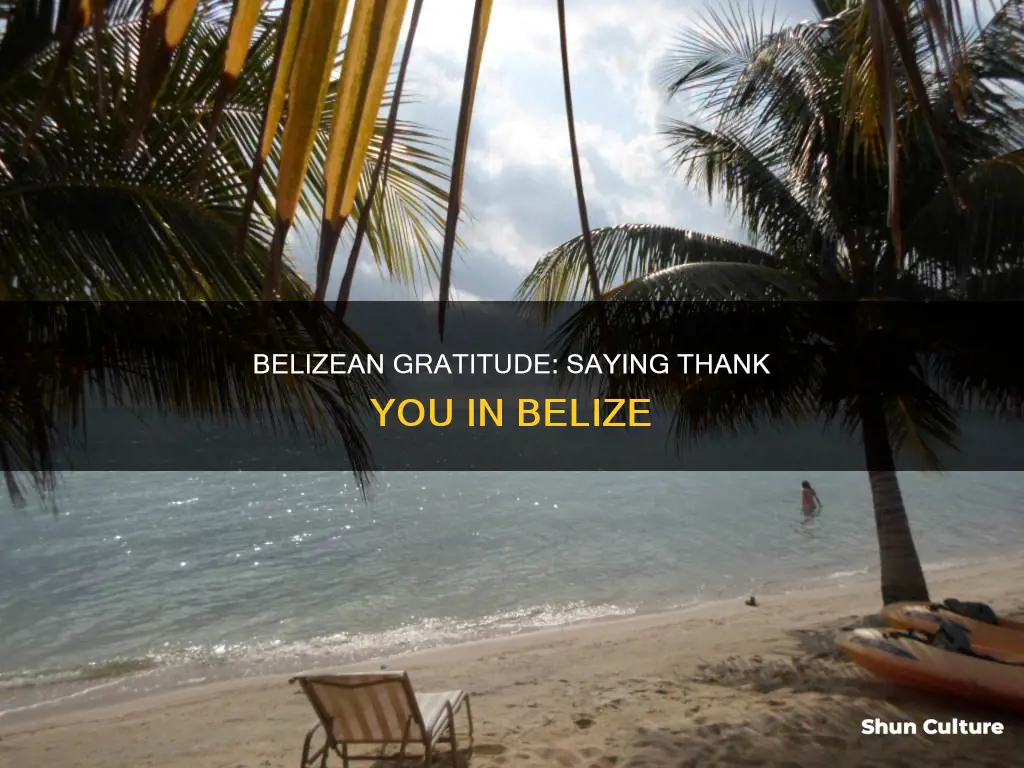 how do you say thank you in belize