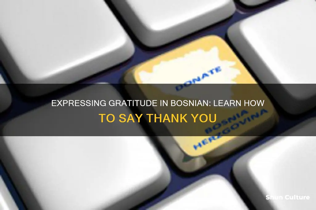 how do you say thank you in bosnian