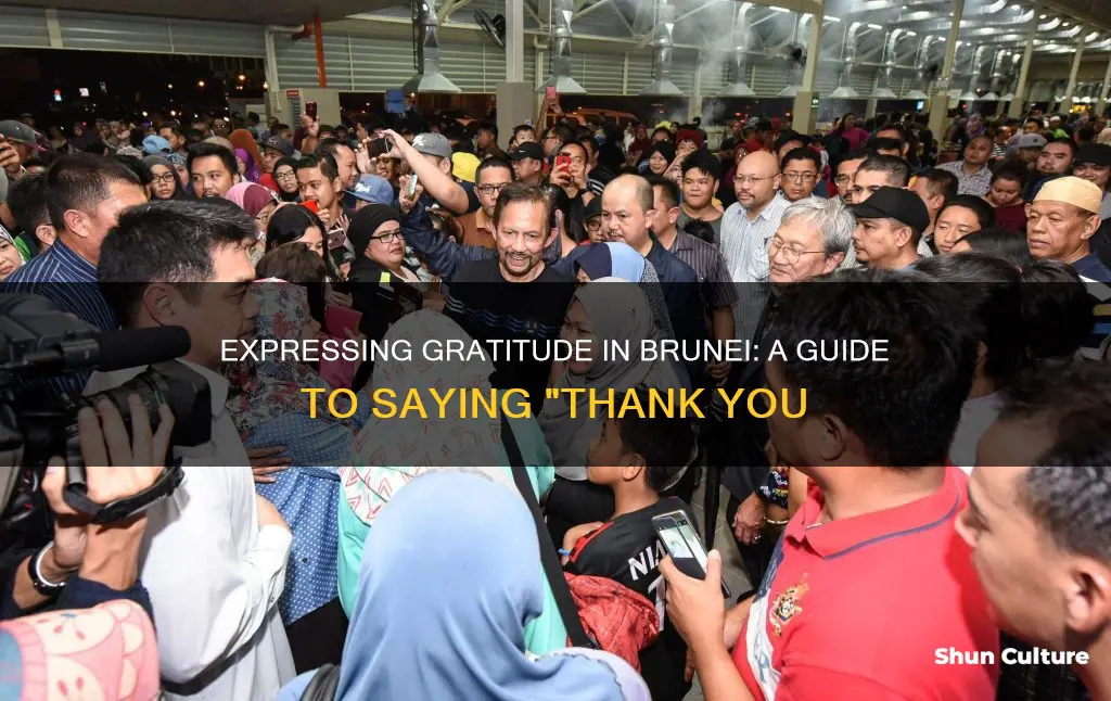 how do you say thank you in brunei