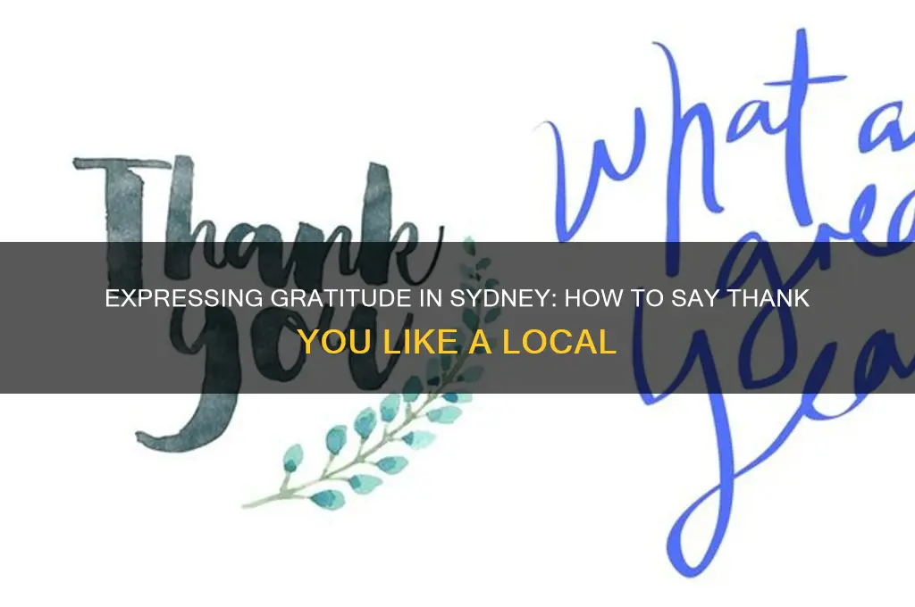 how do you say thank you in sydney australia