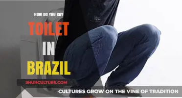 How to Say Toilet in Brazil: Essential Portuguese Vocabulary for Travelers