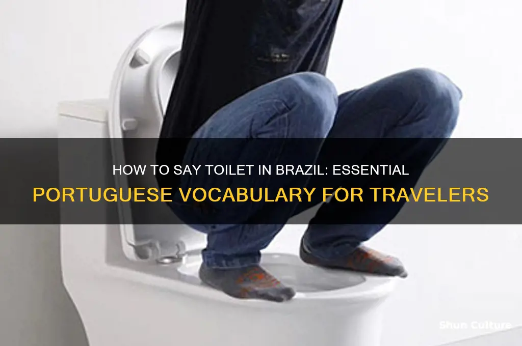 how do you say toilet in brazil