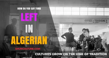 Navigating Algeria: Learn How to Say 'Turn Left' in Algerian Arabic
