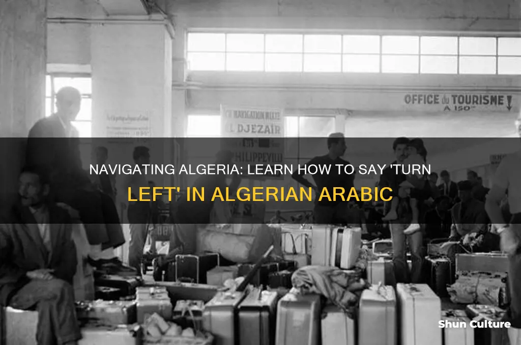 how do you say turn left in algerian