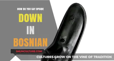 Upside Down in Bosnian: Mastering the Phrase and Its Cultural Nuances
