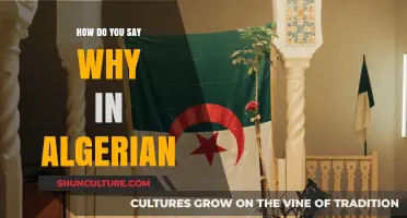 How to Express 'Why' in Algerian Arabic: A Quick Language Guide