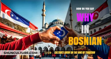 How to Express 'Why' in Bosnian: A Quick Language Guide