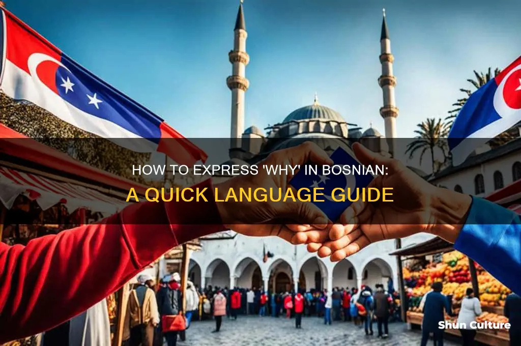 how do you say why in bosnian
