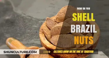 Mastering the Art of Shelling Brazil Nuts: Tips and Techniques
