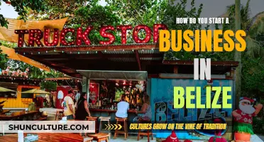 Launching a Business in Belize: Navigating the Tropical Haven for Entrepreneurs