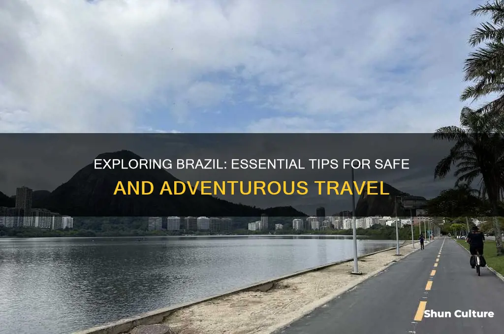 how do you travel in brazil
