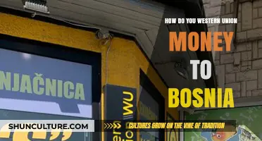How to Send Money to Bosnia via Western Union: A Step-by-Step Guide