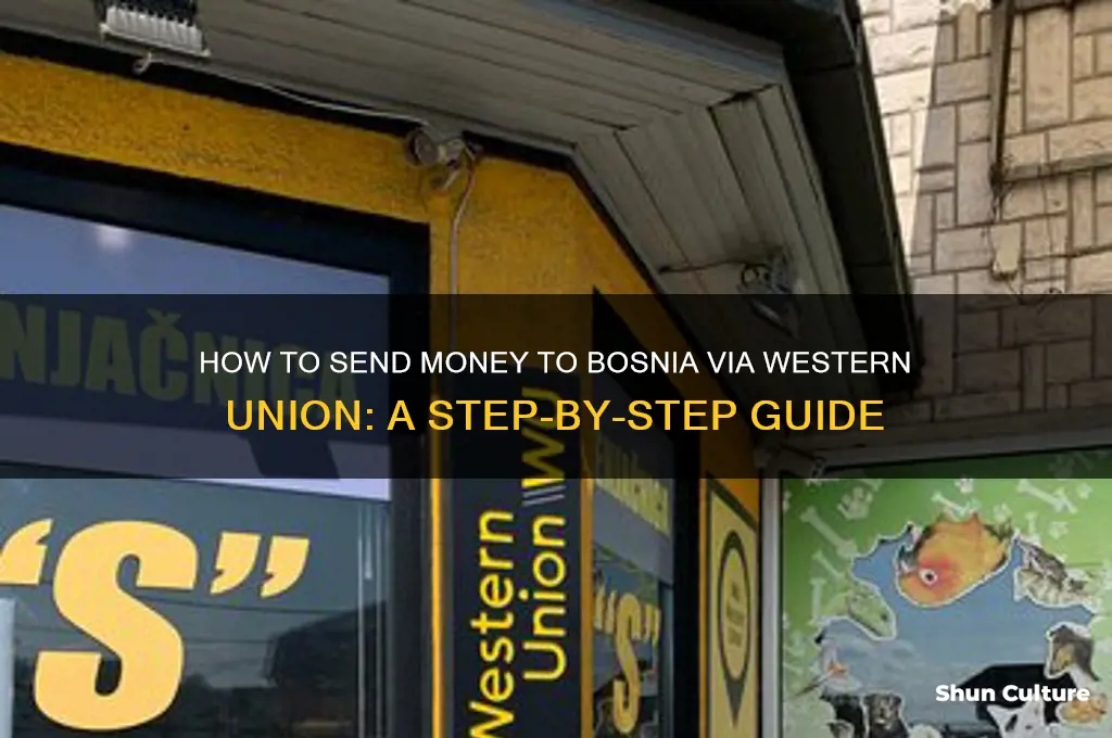 how do you western union money to bosnia