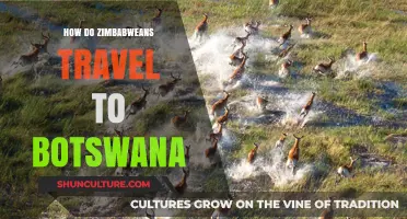 Exploring Zimbabwe to Botswana: Travel Routes, Tips, and Border Crossings