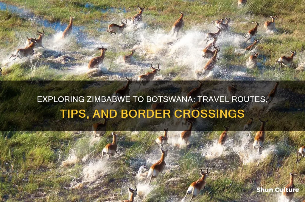 how do zimbabweans travel to botswana