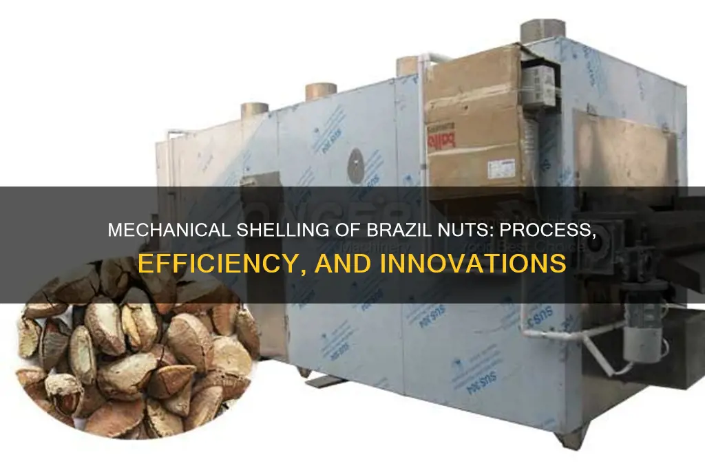 how does a machine shell brazil nuts
