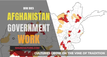 The Complexities of Afghanistan's Government: Understanding the Intricate System