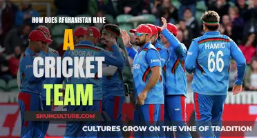 The Unlikely Rise of Afghanistan's National Cricket Team: A Story of Resilience and Passion