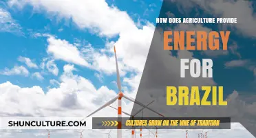 Brazil's Agricultural Power: How Farming Fuels the Nation's Energy Needs