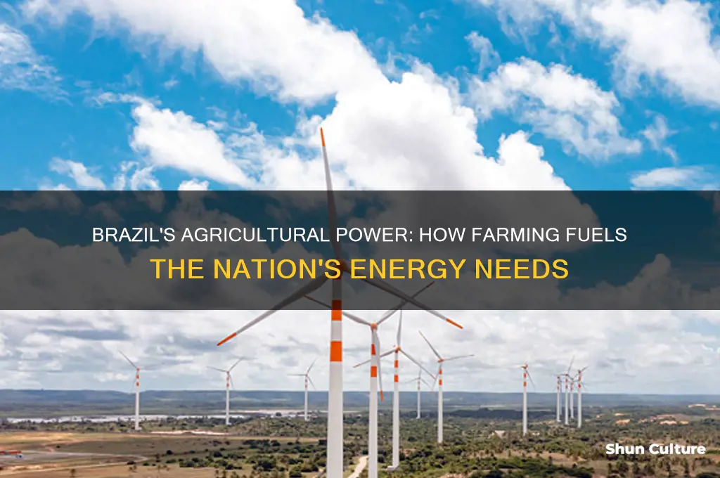 how does agriculture provide energy for brazil