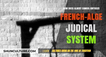 Camus' Critique: Exposing Injustices in French-Algerian Judiciary