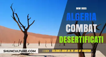 Algeria's Fight Against Desertification: Strategies and Sustainable Solutions