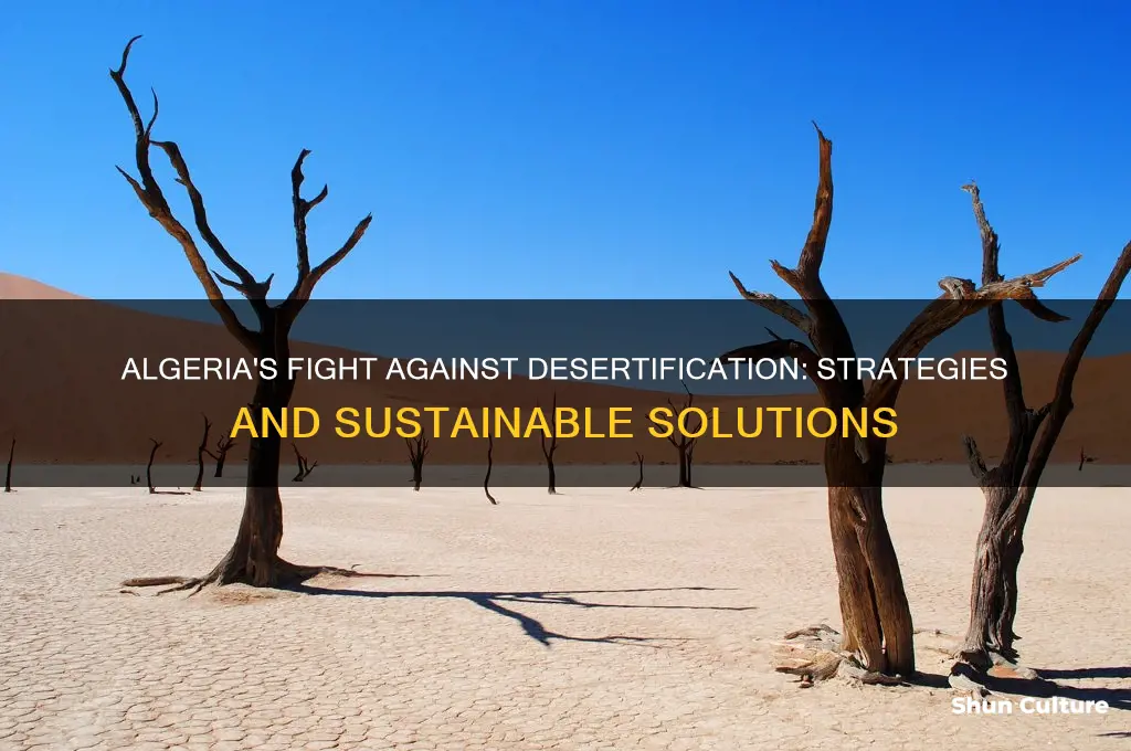 how does algeria combat desertification