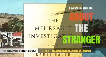 Algeria's Complex Relationship with Camus' 'The Stranger': A Cultural Perspective