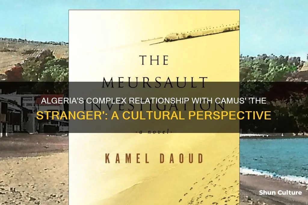 how does algeria feel about the stranger