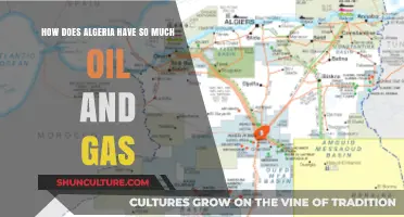 Algeria's Oil and Gas Wealth: Uncovering the Nation's Energy Abundance