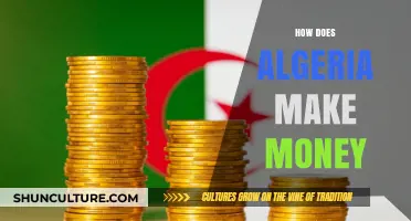 Algeria's Economy: Key Sectors Driving Revenue and National Wealth