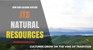 Algeria's Resource Management: Strategies for Sustainable Natural Wealth Preservation