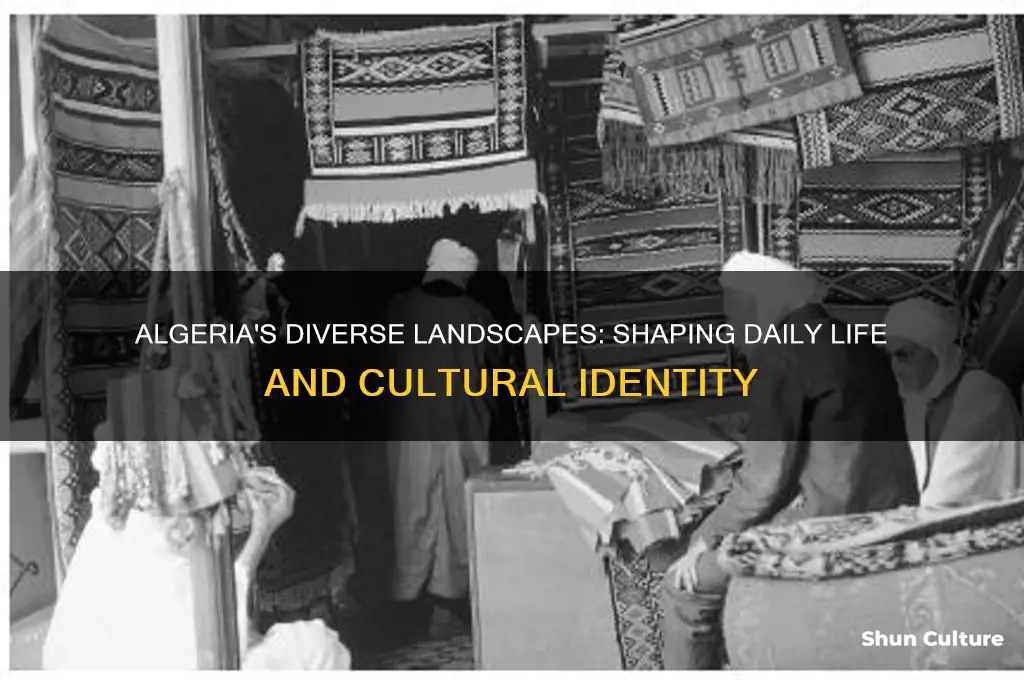 how does algerias geography affect people who live there