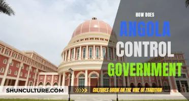 Angola's Governance: Control Mechanisms Explored