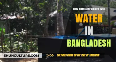 Arsenic Contamination in Bangladesh: Sources and Pathways to Water Supplies