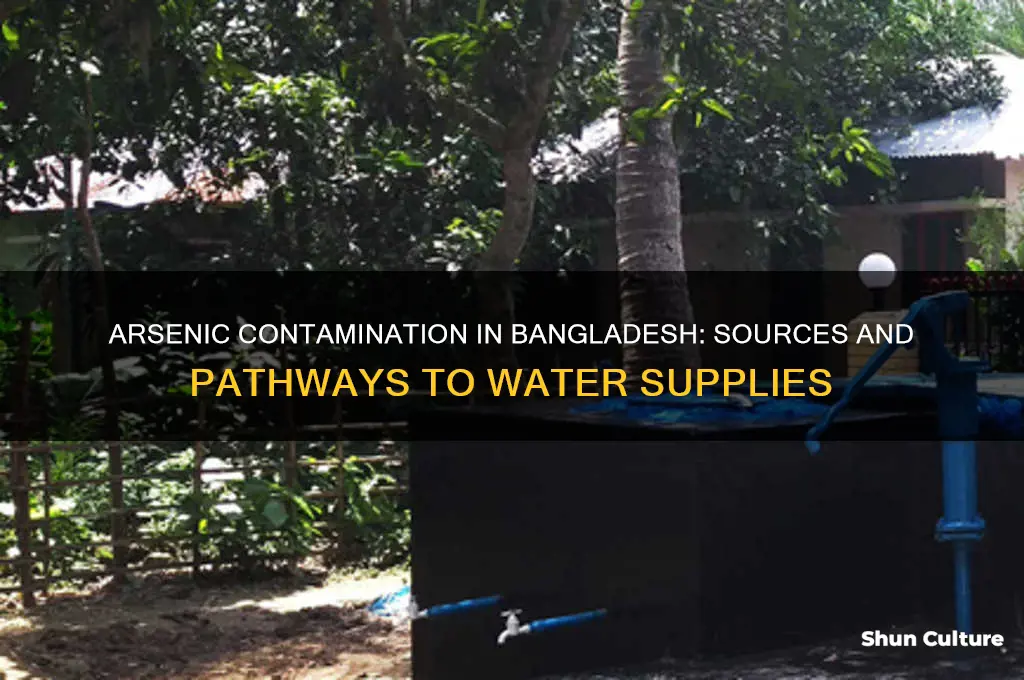 how does arsenic get into water in bangladesh