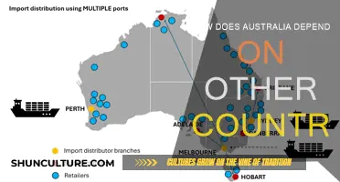 Australia's Interdependence: Global Ties and Trade