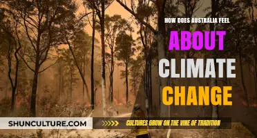 Climate Change: Australia's Stance and Public Sentiment