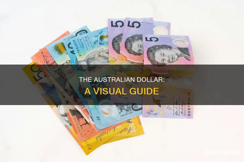 how does australian dollar look like
