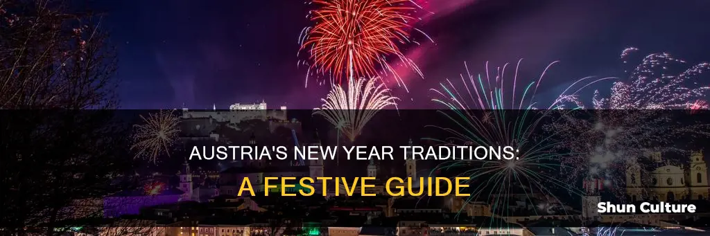 how does austria celebrate new year