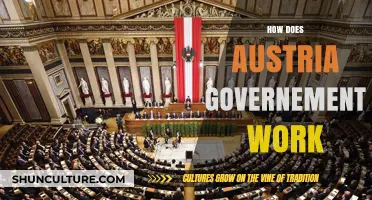 Understanding the Austrian Government: Structure and Function