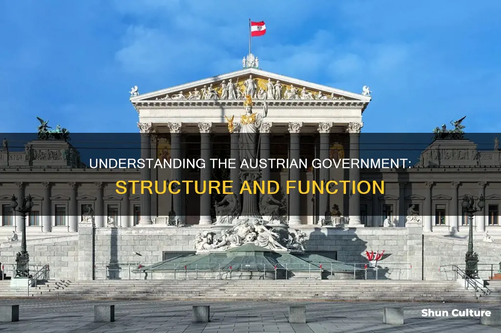 how does austria governement work