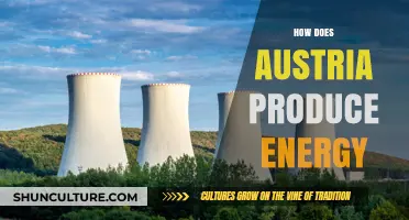 Austria's Energy Mix: Renewable Sources and Nuclear Power