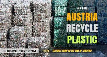 Austria's Green Revolution: Unveiling Its Plastic Recycling Secrets