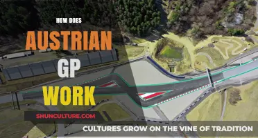 Understanding the Austrian GP: A Guide to the Race