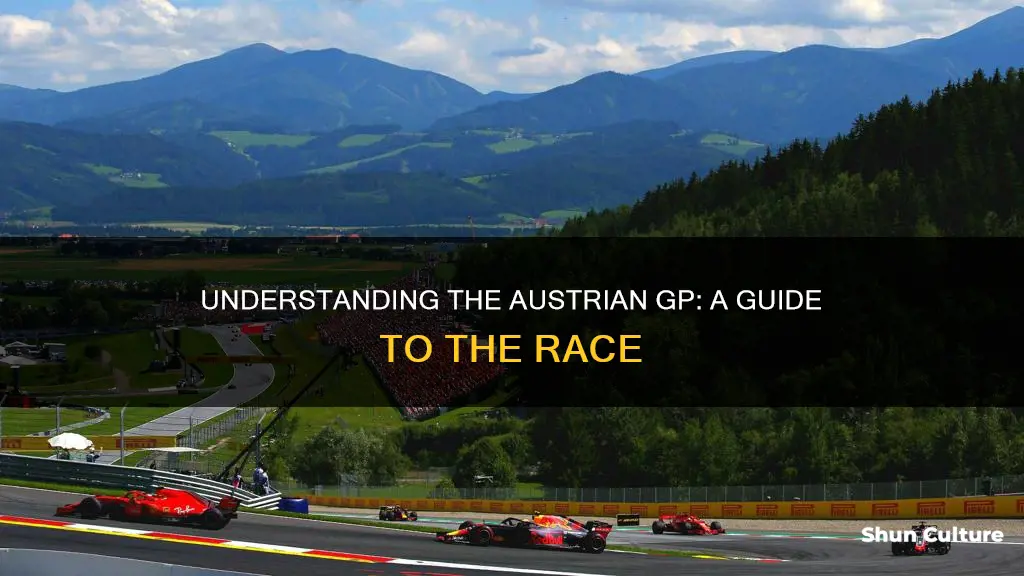 how does austrian gp work